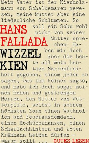 Book cover of Wizzel Kien