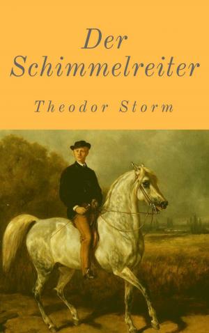 Cover of the book Der Schimmelreiter by Alessandro Dallmann