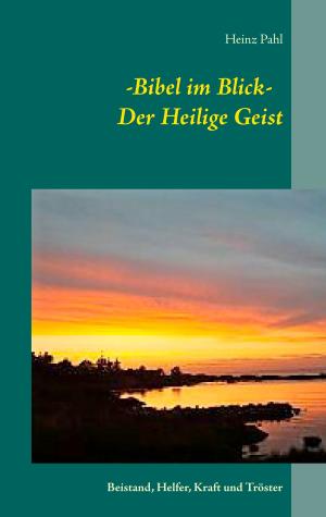 Cover of the book - Bibel im Blick - Der Heilige Geist by Wilfried Rabe