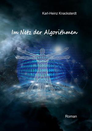 Cover of the book Im Netz der Algorithmen by Daniel Perret