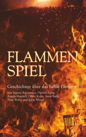 Cover of the book Flammenspiel by Peter Zimmermann