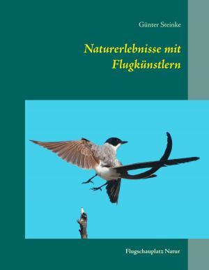 Cover of the book Naturerlebnisse mit Flugkünstlern by Sascha Stoll