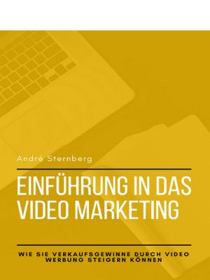 Cover of the book Einführung in das Video Marketing by Jutta Hellmann