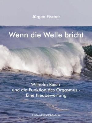 Cover of the book Wenn die Welle bricht by Michaela Riedl, Jürgen Becker