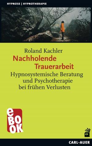 Book cover of Nachholende Trauerarbeit