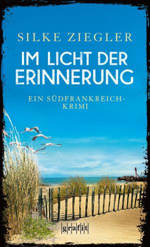 Book cover of Im Licht der Erinnerung