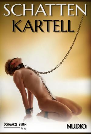 bigCover of the book Schatten-Kartell by 