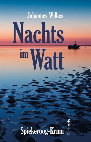Cover of Nachts im Watt