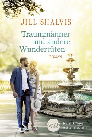 Book cover of Traummänner und andere Wundertüten