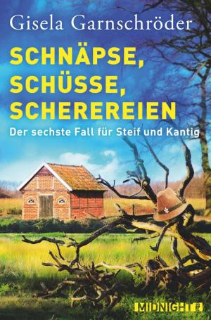 Cover of the book Schnäpse, Schüsse, Scherereien by Walter Bachmeier
