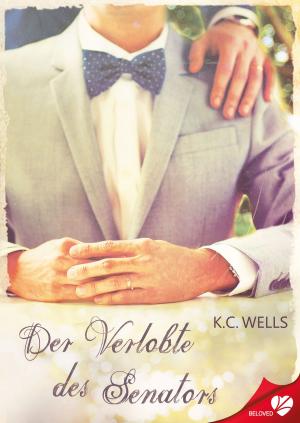 Cover of the book Der Verlobte des Senators by Nora Wolff