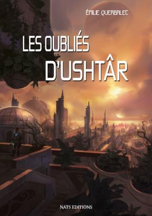 Cover of the book Les oubliés d'Ushtâr by Kat Yares