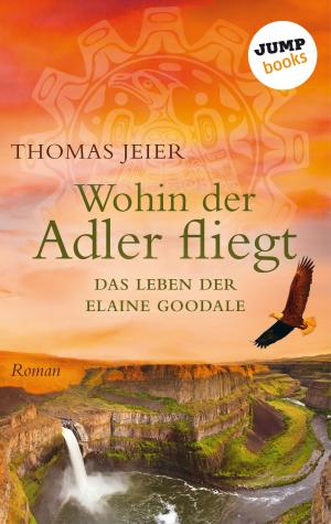 Cover of the book Wohin der Adler fliegt by Wolfgang Hohlbein, Heike Hohlbein