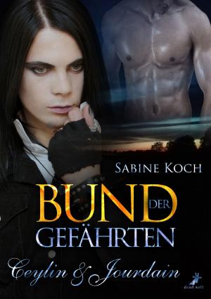 Cover of the book Bund der Gefährten: Ceylin & Jourdain by Simon Rhys Beck