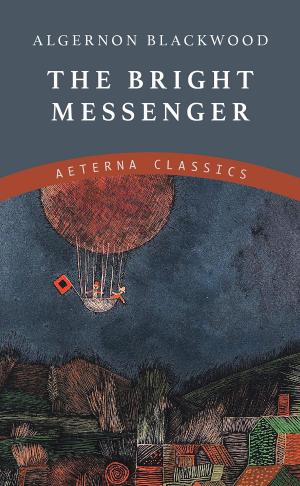 Cover of the book The Bright Messenger by Arthur Griffiths