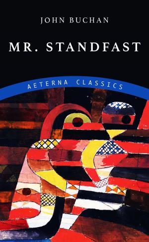 Cover of the book Mr. Standfast by Frank Packard