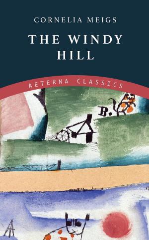 Cover of the book The Windy Hill by Gaston Leroux