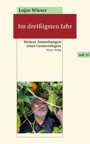 Cover of the book Im dreißigsten Jahr by Silvija Hinzmann