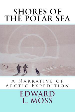 Cover of the book Shores of the Polar Sea by David A. Wells
