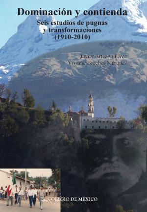 Cover of the book Dominación y contienda by Ilán Bizberg, Francisco Zapata
