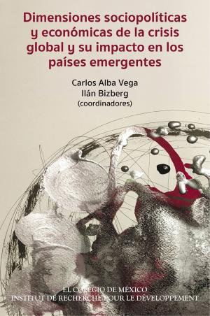 Cover of the book Dimensiones sociopolíticas y económicas de la crisis global y su impacto en los países emergentes by Rebeca Barriga Villanueva, Pedro Martín Butragueño