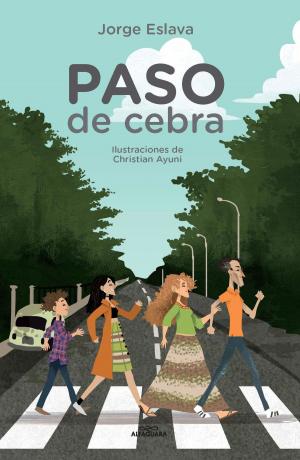 Cover of the book Paso de cebra by Óscar Colchado Lucio
