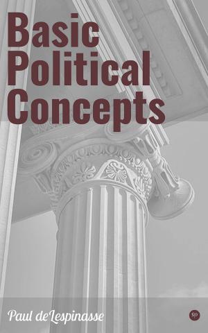 bigCover of the book Basic Political Concepts by 