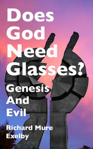 Book cover of Does God Need Glasses?