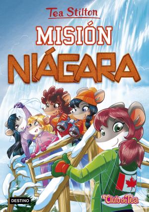 Cover of the book Misión Niágara by Andrea Longarela