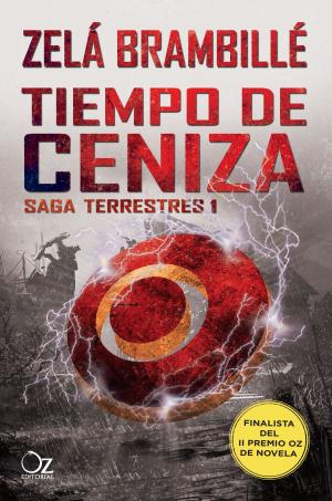 Cover of the book Tiempo de ceniza by Jessica Sorensen