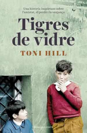 Cover of the book Tigres de vidre by Alison Bechdel