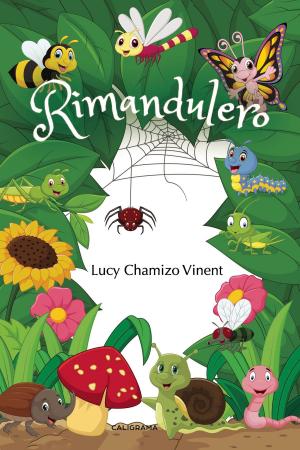 Cover of the book Rimandulero by Michael J Foy
