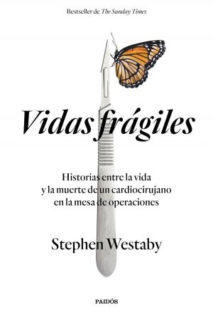 Cover of the book Vidas frágiles by Moruena Estríngana