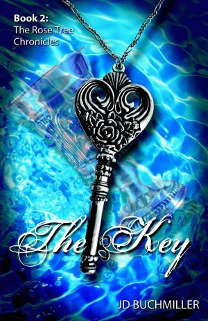 Cover of the book The Key by Iom Kosta