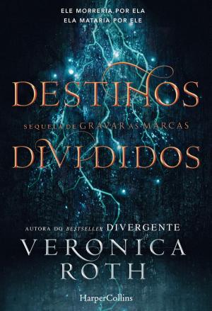 Book cover of Destinos divididos