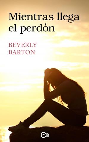 Cover of the book Mientras llega el perdón by Amanda Stevens