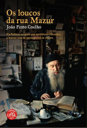 Cover of the book Os loucos da rua Mazur by David Early
