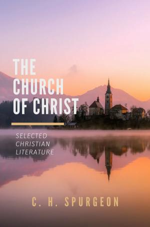 Cover of the book The Church of Christ by Wayne Rice