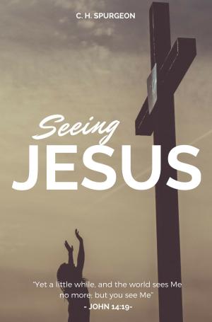 Cover of Seeing Jesus