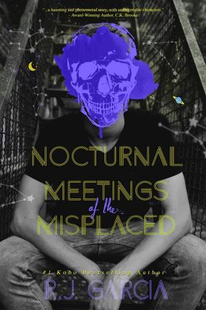 Cover of the book Nocturnal Meetings of the Misplaced by Amber R. Duell