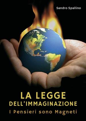 Cover of the book La Legge dell'immaginazione by Daniele Zumbo