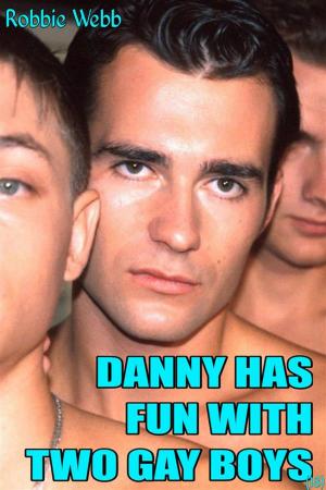 Book cover of Danny Has Fun With Two Gay Boys(18)