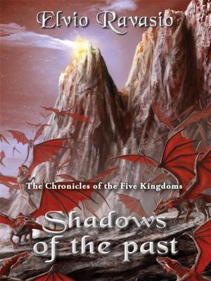 Cover of the book Shadows of the Past by B.M. Griffin