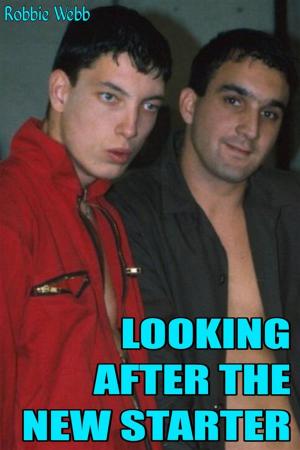 Book cover of Looking After The New Starter