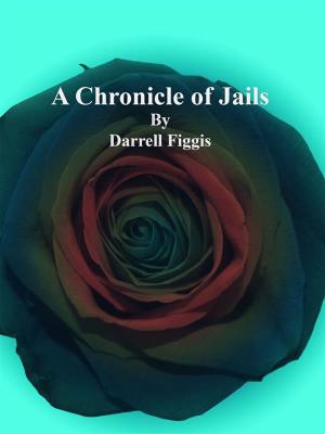 Cover of the book A Chronicle of Jails by Edward S. Ellis