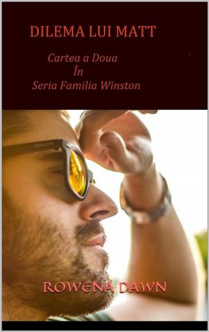 Book cover of Dilema lui Matt (Cartea a Doua in seria Familia Winston)