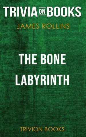 Book cover of The Bone Labyrinth by James Rollins (Trivia-On-Books)
