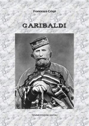 bigCover of the book Garibaldi by 