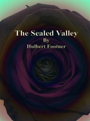 Cover of the book The Sealed Valley by Horatio Alger