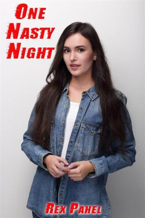 Cover of the book One Nasty Night by Rex Pahel